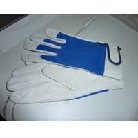 [M] 手袋(牛革)_選択画像02