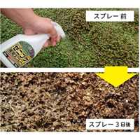 500mlコケ取り剤スプレ-ゼニゴケ用希釈type_選択画像02