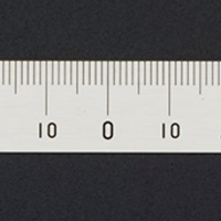 300mm中心振分/上目盛スケール(ステンレス)_選択画像02