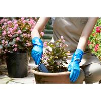 [L]手袋(透湿防水/ポリウレタン･裏付)_選択画像04