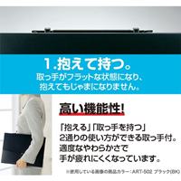 Ａ２/460x635mm デザインケース(黒)_選択画像04