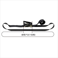 50mmx7.0m/1520kgベルト荷締機(エンドレス)_選択画像03
