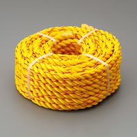 16mmx20m 親綱ロープ(交換用)_選択画像02