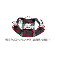 季節品)[EA915EM-161用] 替保冷剤(4個)_選択画像02