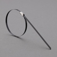 4.6x266結束バンド(SUS316コーティング10本