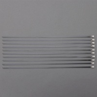 7.9x838結束バンド(SUS316コーティング10本_選択画像02