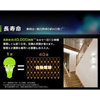 AC100V/5.3W/E26電球/LED(電球色/広配光)_選択画像02
