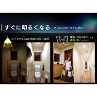 AC100V/5.3W/E26電球/LED(電球色/広配光)_選択画像03