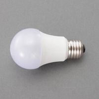 AC100V/16.5W/E26電球/LED(電球色/全方向)