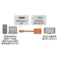 3.0mTypeC-DVI変換ケーブル_選択画像02