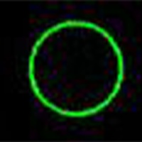 13x151x13mmグリーンレーザーポインター_選択画像03