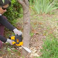 DC18V/250mmチェーンソー(充電式)_選択画像04