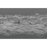 [L]ワイピング手袋(1双)_選択画像03