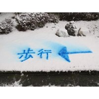 季節品)300ml蛍光マーキングスプレー(雪/赤_選択画像03