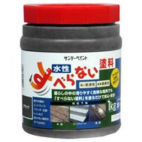 1.0kg滑り止めコート剤(ブラック)
