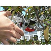 184mm剪定はさみ_選択画像03