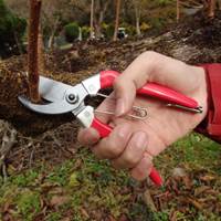 200mmはさみ･剪定_選択画像03