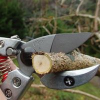 180mmはさみ･剪定(アンビル型)_選択画像03