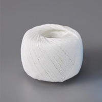 1.5mmx245mPPロープ(白)