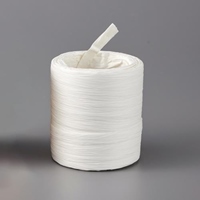 10～14mmx43m紙ひも(白)