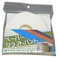 10mクラフトバンド(白)_選択画像02