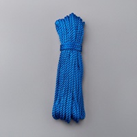 5.0mmx10mPPロープ(青)