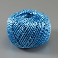 3.0mmx100mPPロープ(溶着なし/青)