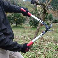 630mm枝切鋏_選択画像02