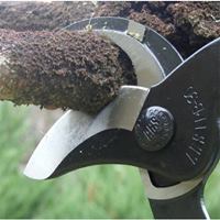 630mm枝切鋏_選択画像04