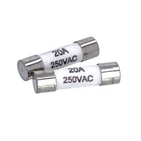 [EA707BB-7A用]替ヒューズ20Aレンジ(2個)