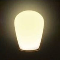 AC100V/1.4W/E26LEDサイン電球(電球色)_選択画像04