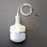 AC100-200V/80W/電球/LED(ソケット一体型)