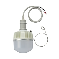 AC100-200V/80W/電球/LED(ソケット一体型)_選択画像02