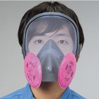 [RL3]防塵マスク(全面形/L)