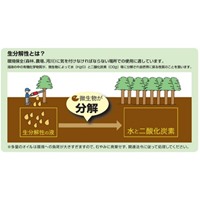 420mlチェーンオイルスプレー(生分解性)_選択画像02