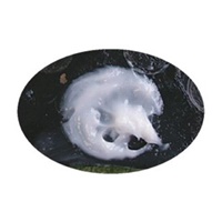 100gグリース(ディスクパッド用/高粘着消音_選択画像02