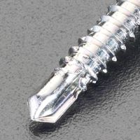 6x45mm皿頭ピアスビス(三価クロメート/20本_選択画像03