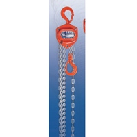 0.25tonx8.0mチェーンブロック_選択画像02