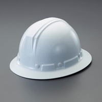 ヘルメット(全周つば付き/白)
