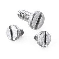 S0.6x2mm精密機械用ナベ小ねじ(2本)