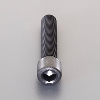 M10x30mm/P1.25六角穴付ボルト(細目/2本)