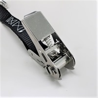 181kg/25mmx6.0mベルト荷締機(SUS製)_選択画像02