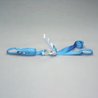 75mmx9.0m/2540kgベルト荷締機(両端アイ型)