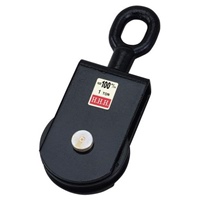 100mm/1tonサンマブロック
