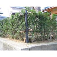 φ55x600mm擬木杭(穴あり/ダークブラウン)_選択画像02