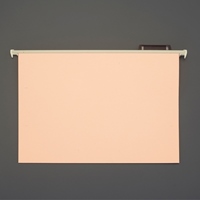 A4/240x311mmハンガーフォルダー(20冊)_選択画像02