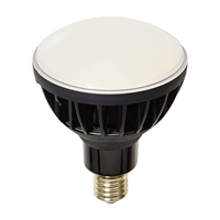 AC100V/50W電球(黒)