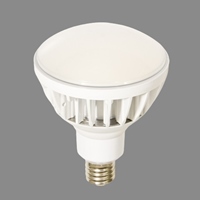 AC100V/50W電球(白)