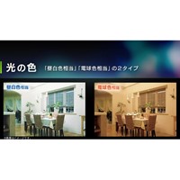 AC100V/6.9W/E17電球/LED(昼白色/広配光)_選択画像03