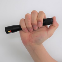 [単3x2本]フラッシュライト/LED(ペン型)_選択画像03